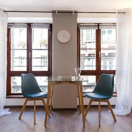 Apartment The Fleuret -top Location - Petite Venise Colmar
