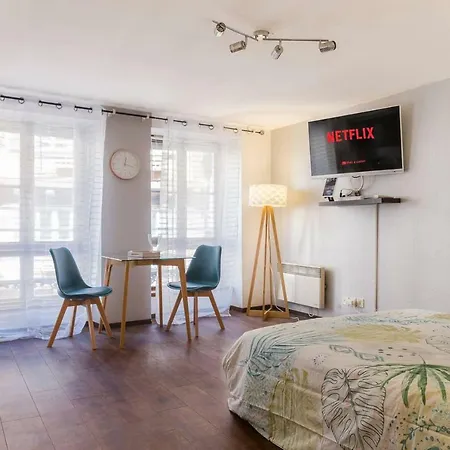 Apartment The Fleuret -top Location - Petite Venise Colmar