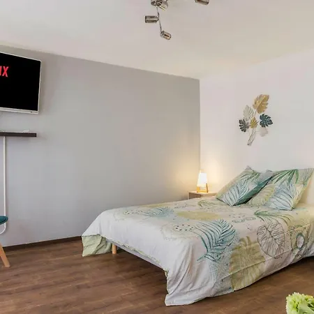 Appartement The Fleuret -top Location - Petite Venise Colmar
